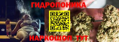 шишки Ачхой-Мартан