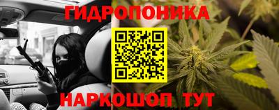 шишки Ачхой-Мартан